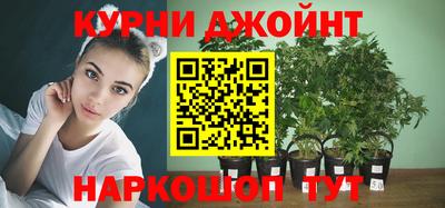 индика Бузулук