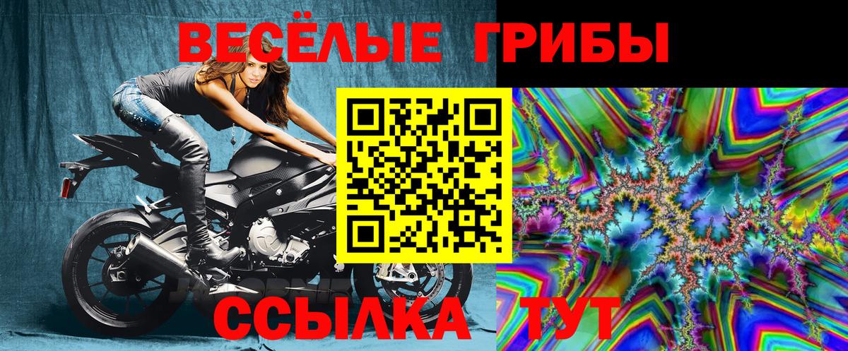 Галлюциногенные грибы Magic Shrooms  Галлюциногенные грибы GOLDEN TEACHER  Среднеуральск  Вход с VPN 